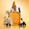 STAR CONFIDENCE 100 ML PARFYM
